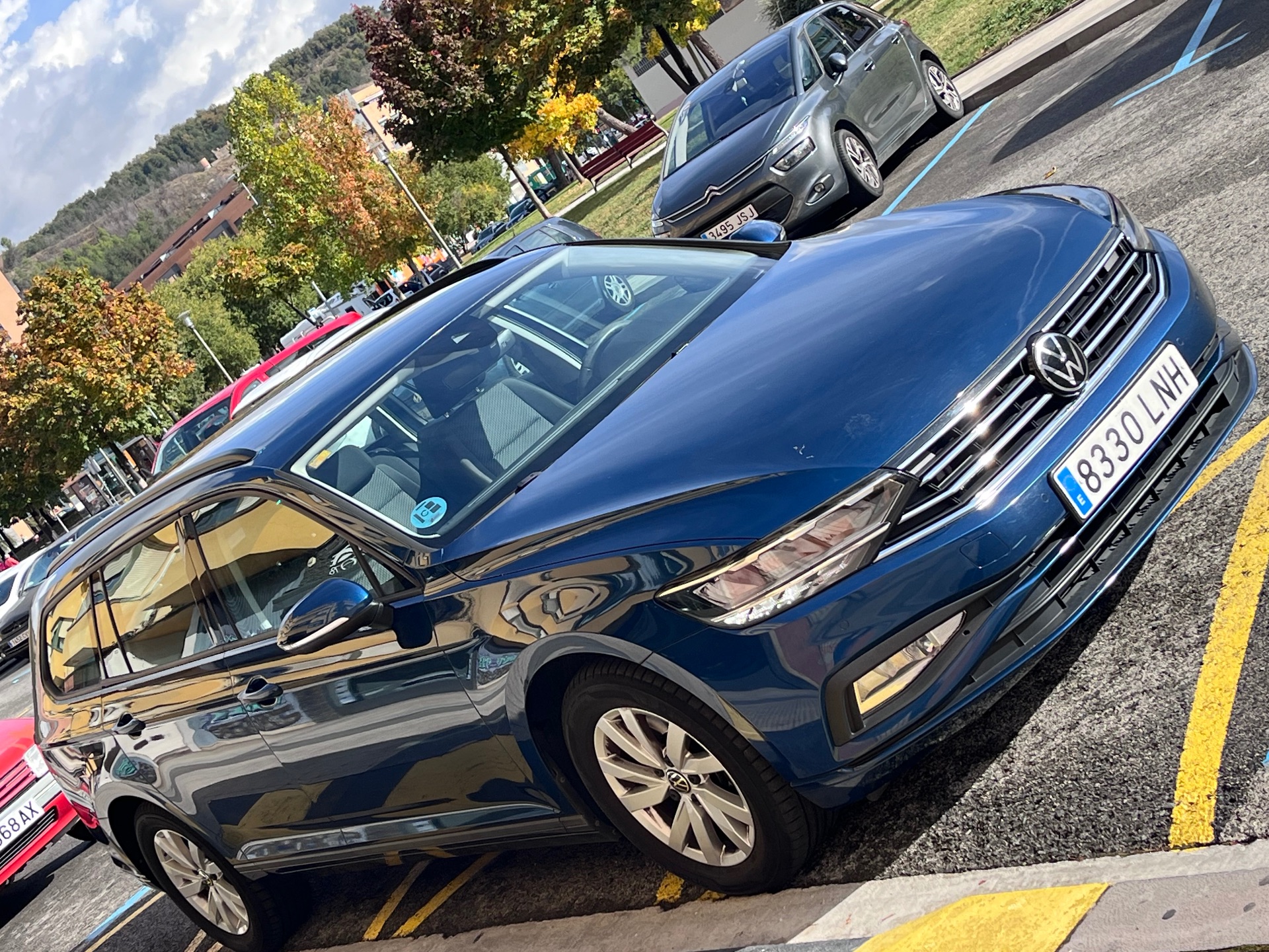 Volkswagen Passat Variant  Business 2.0 TDI 150cv