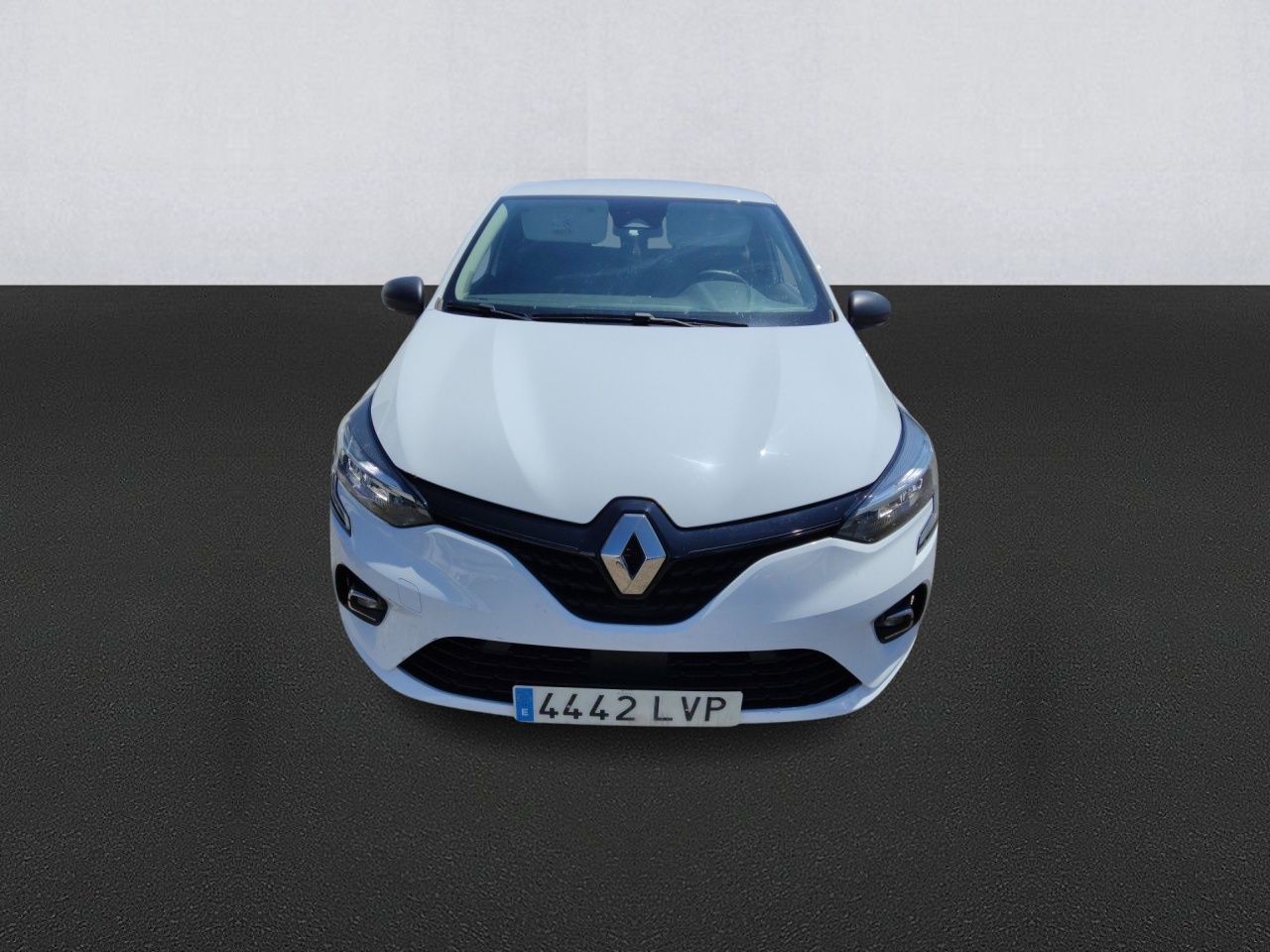 Renault Clio Blue DCi 8V 100 CV 5p. Business