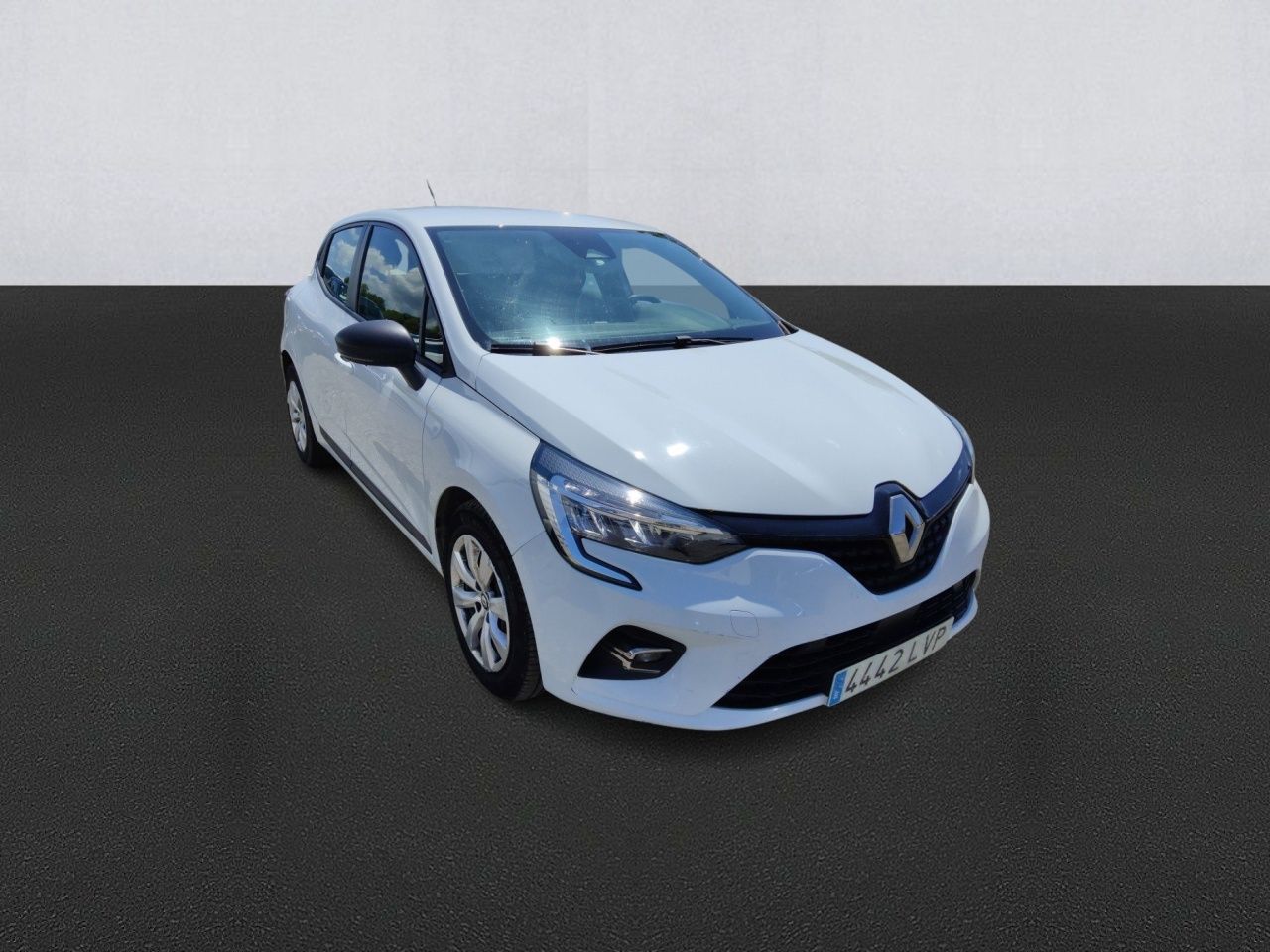 Renault Clio Blue DCi 8V 100 CV 5p. Business